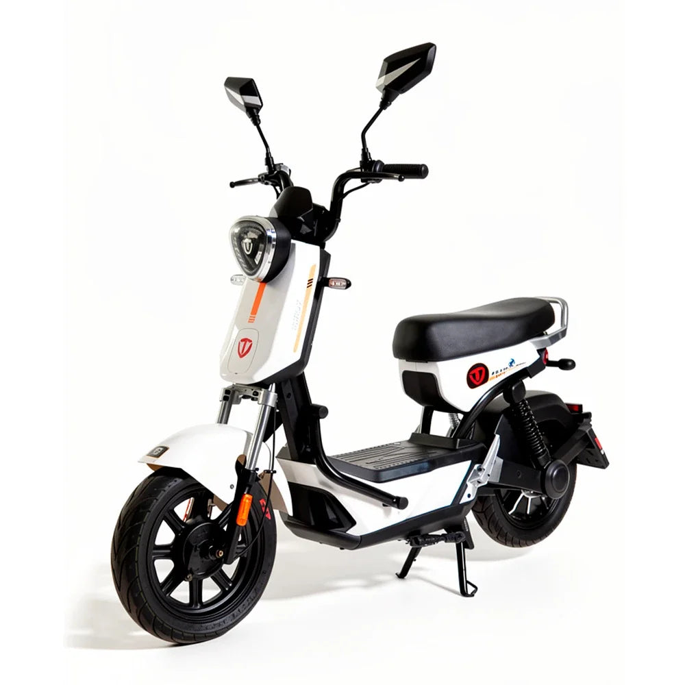 Moto Elétrica TAILG GX30 G - Image 1
