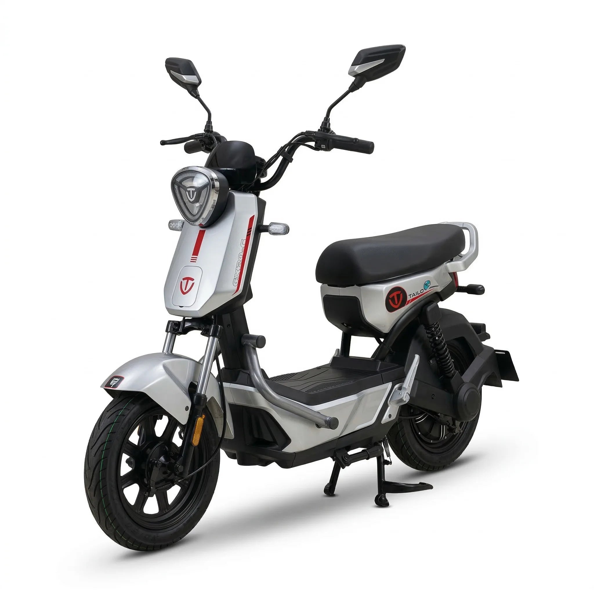 Moto Elétrica TAILG GX30G - Image 1
