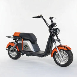 Moto Elétrica SMART WHEEL SW701 - Image 4