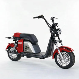 Moto Elétrica SMART WHEEL SW701 - Image 2
