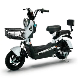 Moto Elétrica SMART WHEEL SW 001 Lithium - Image 1