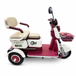 Moto Elétrica SMART WHEEL Triciclo Elétrico Safe - Image 5