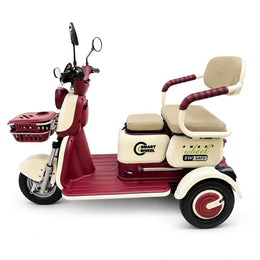 Moto Elétrica SMART WHEEL Triciclo Elétrico Safe - Image 8