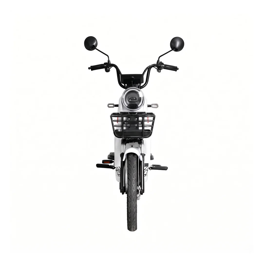 Moto Elétrica TAILG JF35Z Chumbo Ácido - Image 17