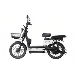 Moto Elétrica TAILG JF35Z Chumbo Ácido - Image 18