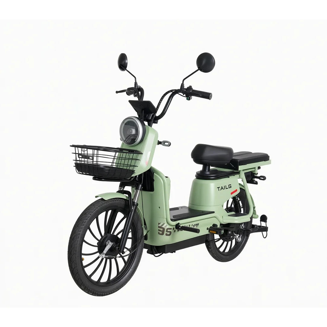 Moto Elétrica TAILG JF35Z Chumbo Ácido - Image 6