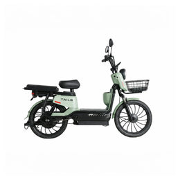 Moto Elétrica TAILG JF35Z Chumbo Ácido - Image 7