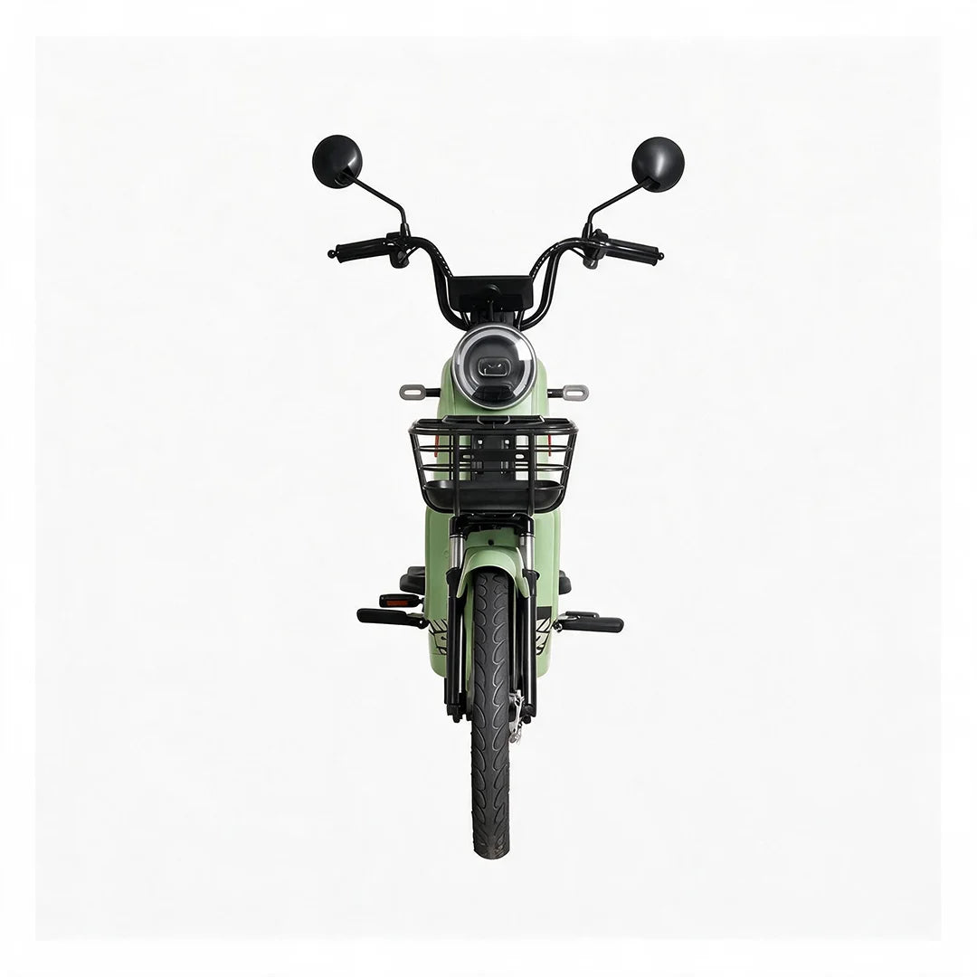 Moto Elétrica TAILG JF35Z Chumbo Ácido - Image 9