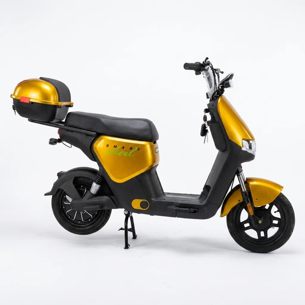 Moto Elétrica SMART WHEEL SW 002 - Image 12